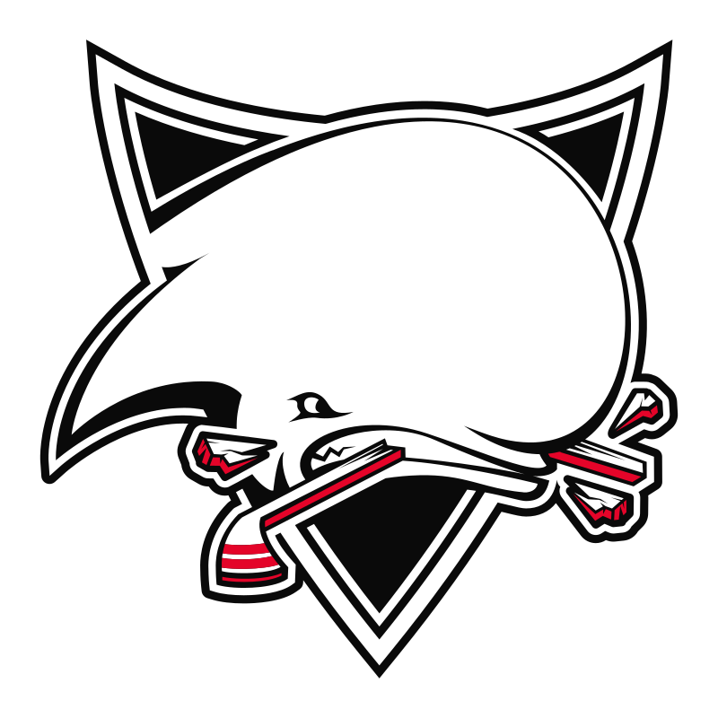 Logo TOULOUSE BLAGNAC